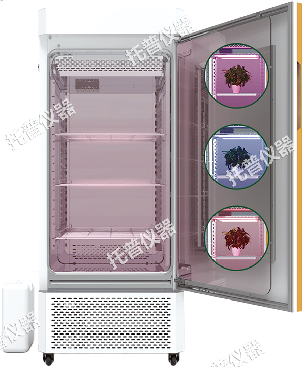 1742197904240728.png 6.png