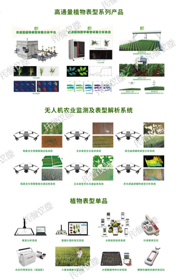 1744611281587481.png 3.png